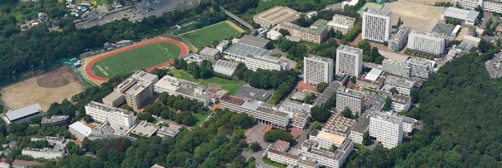 Overview of city