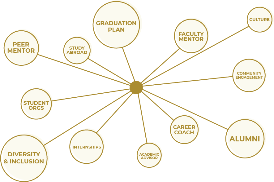 Graphic displaying the following text: Graduation plan, peer mentor, study abroad, student orgs, diversity and inclusion, internships, academic advisor, career coach, alumni, community engagement, culture, faculty mentor