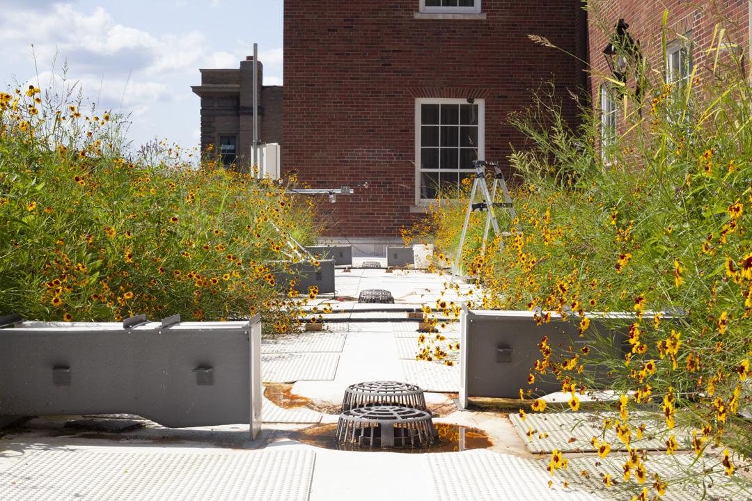 green roof with water flumes