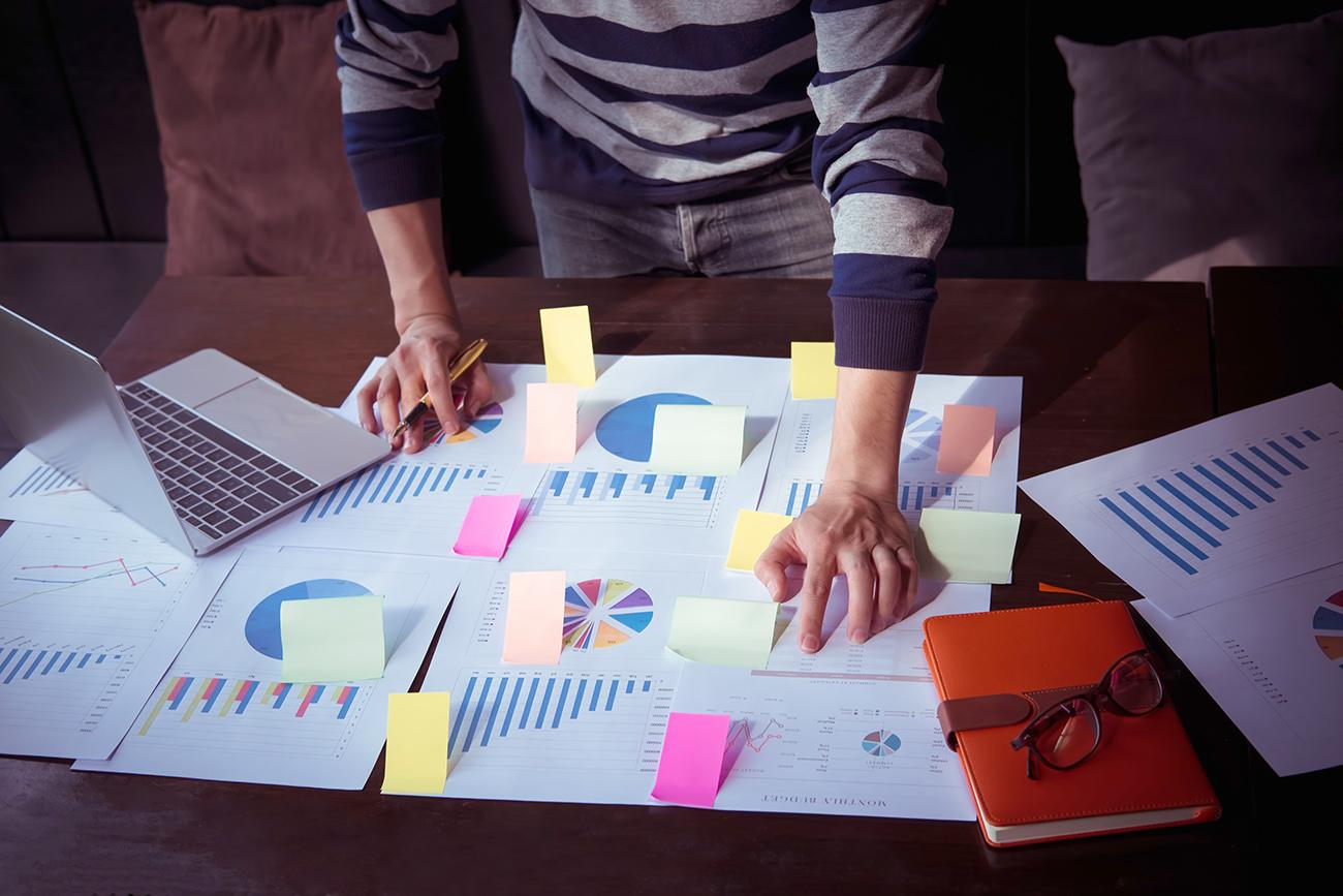 Person analyzing statistical reports
