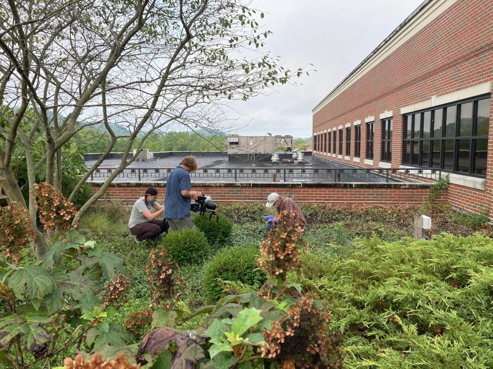 Green Roof Video & Film Gallery 3