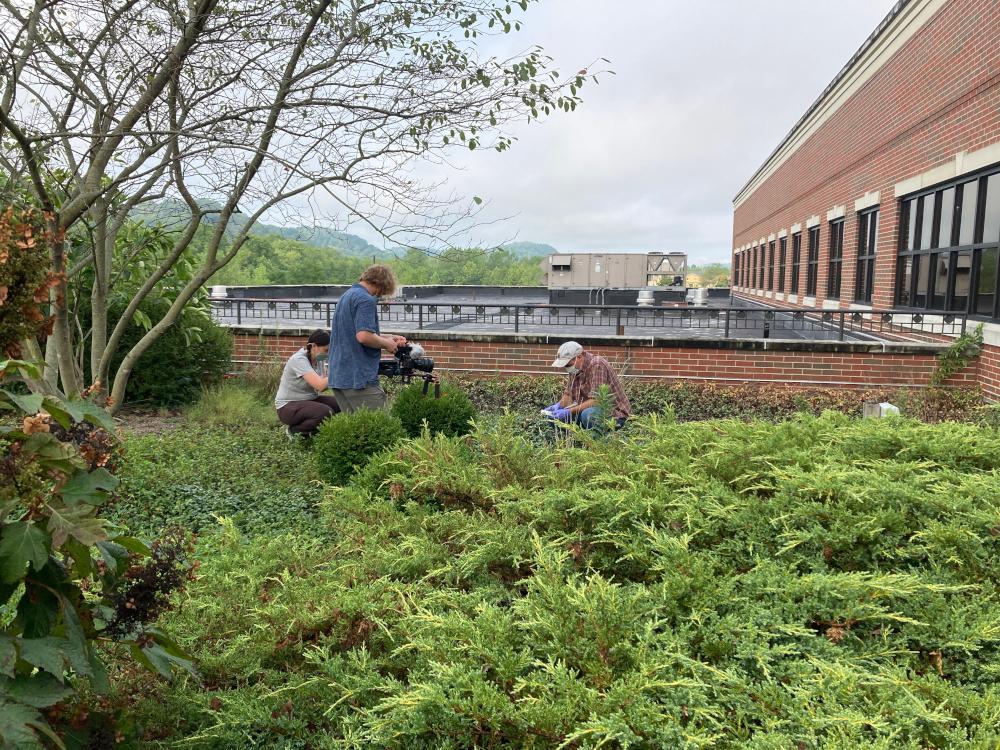 Green Roof Video & Film Gallery 4