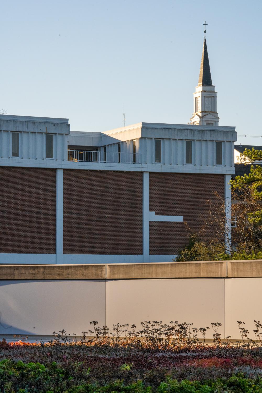 View from Green Roof