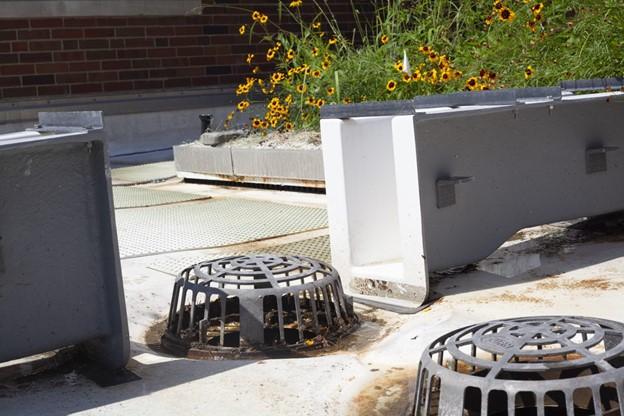 Water drains on green roof