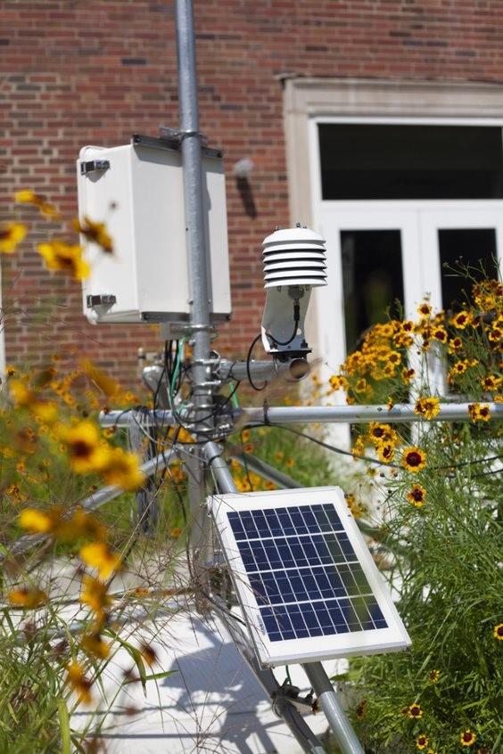 Solar panel on green roof