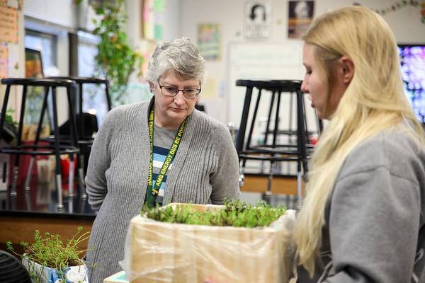 Athens Middle School Teacher Mary Ann Hopple and mechanical engineering student Rachel Modzelewski look over the green roof models in a classroom.