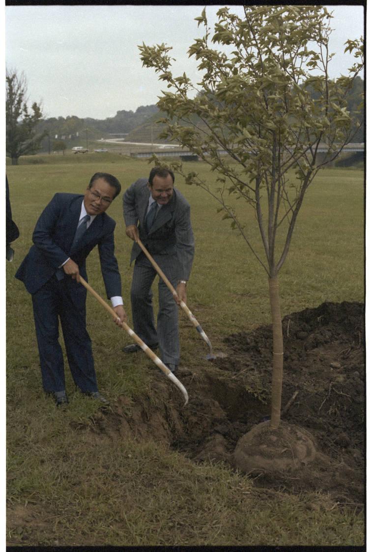 Chubu History_1979 Ping and Yamada plant cherry trees