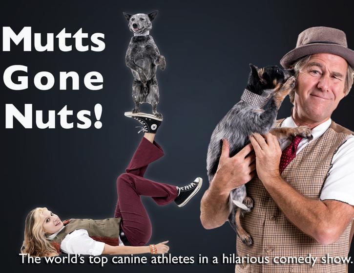 Mutts Web Image