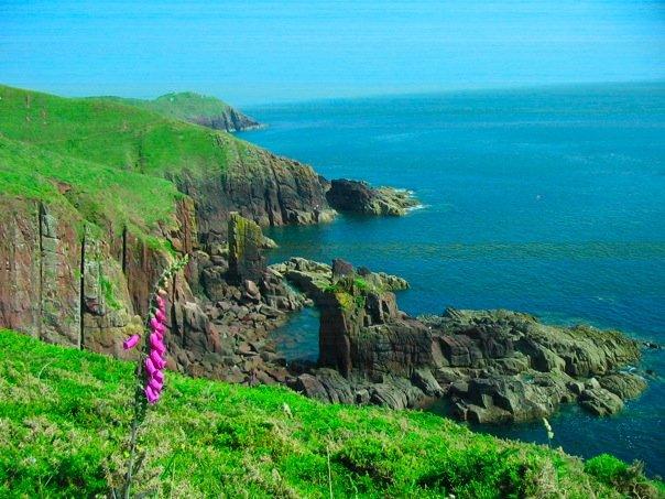 View of grass covered cliffside looking into the water below.