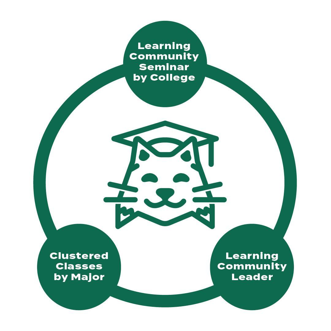 Learning community graphic