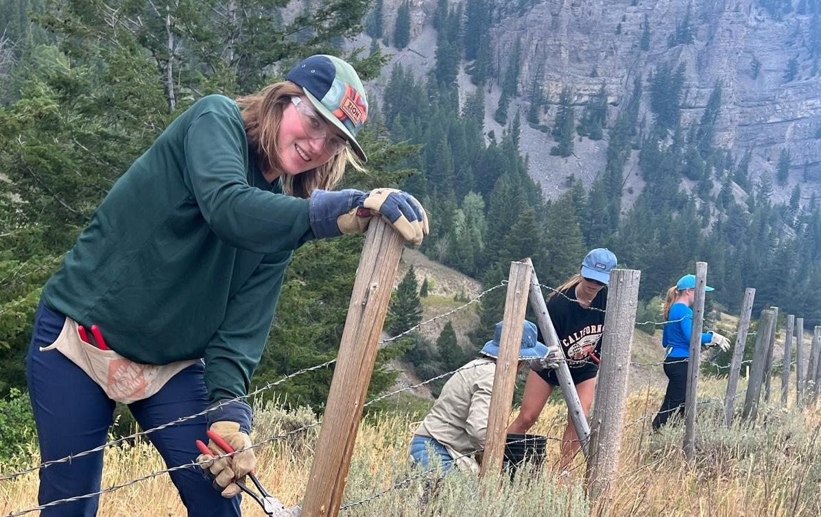 Students Working at Tetons