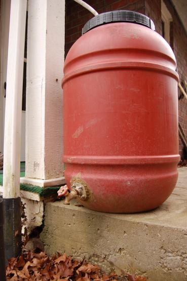 Rain Water Collection Device