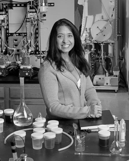 Portrait of Gerardine Botte, Ph.D.