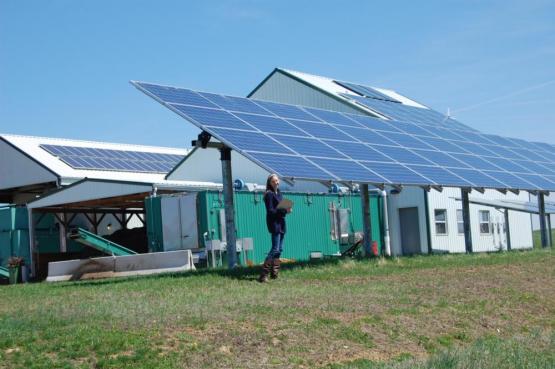 Compost Solar Panels