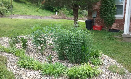 Ridges Cottage #38 rain garden