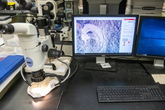 Microscope and computer displaying a scan in an Ohio University research laboratory