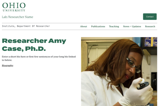 Case theme in OpenScholar website