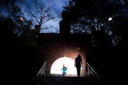 Archway View