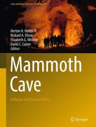 Shadow of several people standing in front of lit up cave.