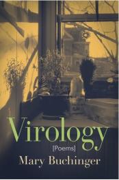 Image of plant in front of window on cover.