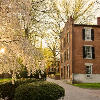 College Green Spring