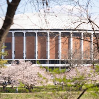 Convo building picture taken through the cherry blossom trees