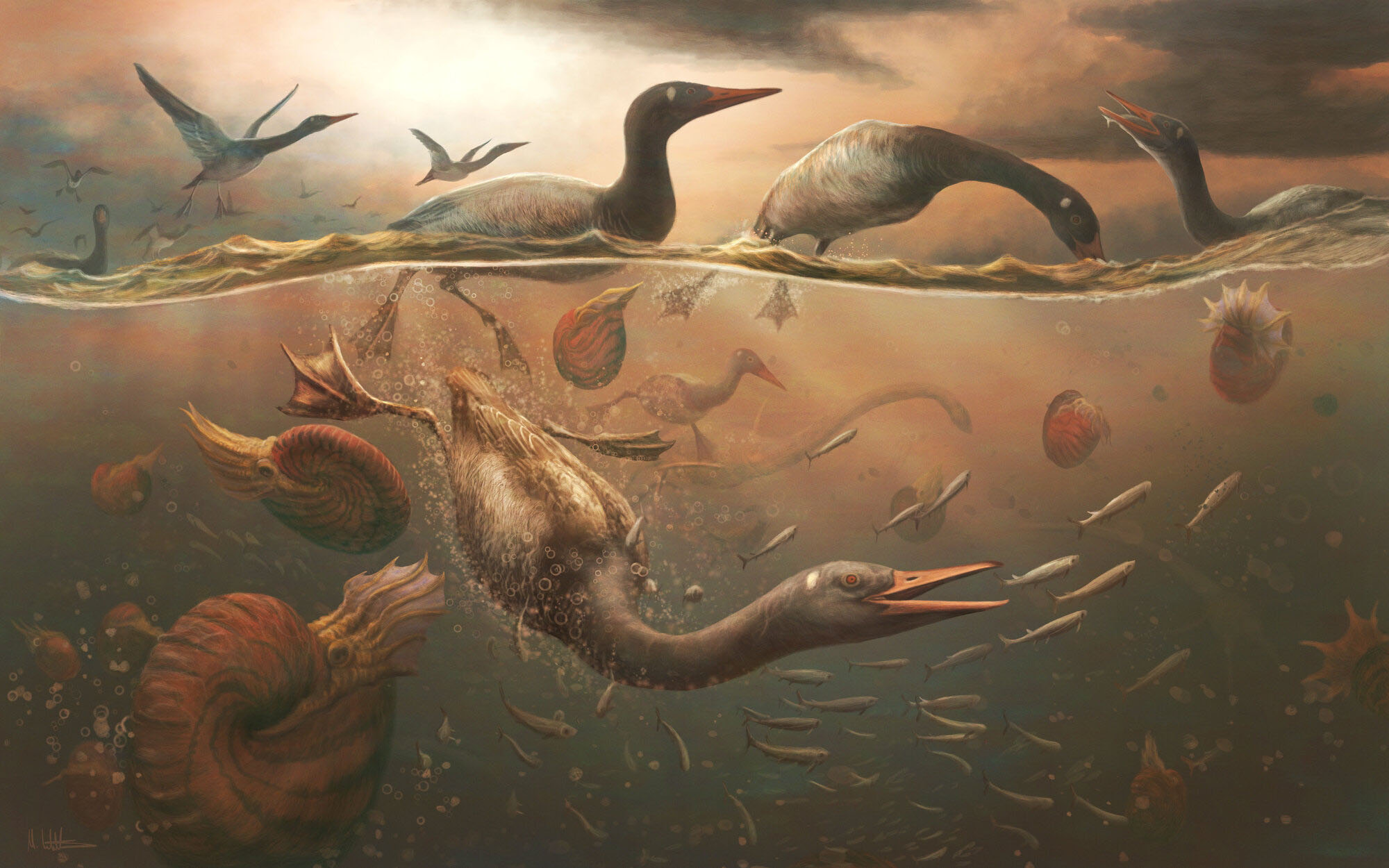 Fossil of an extinct bird named Vegavis iaai