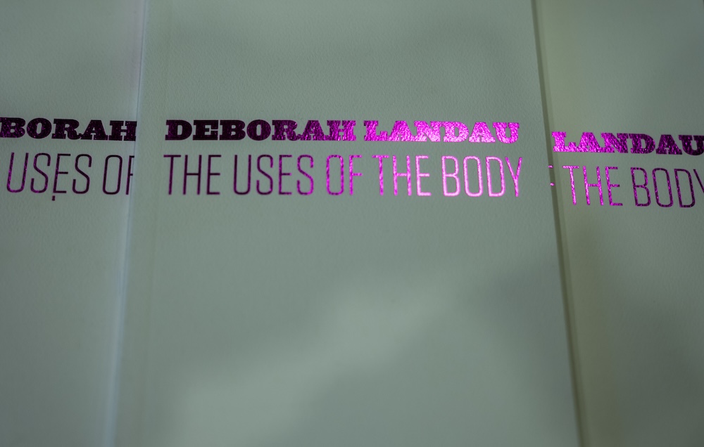 The cover of Deborah Landau's poetry collection, The Uses of The Body