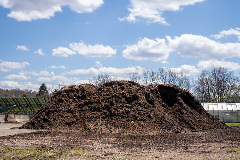 A pile of composted soil.