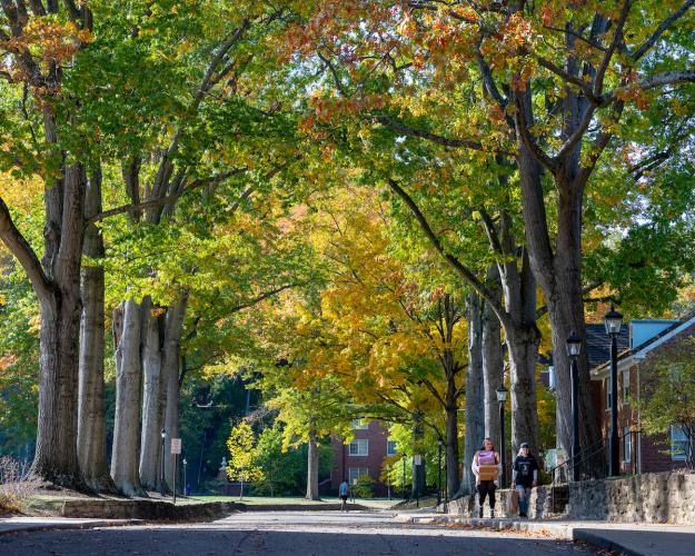OHIO students walk underneath colorful trees in Fall on OHIO's 雅典 Campus