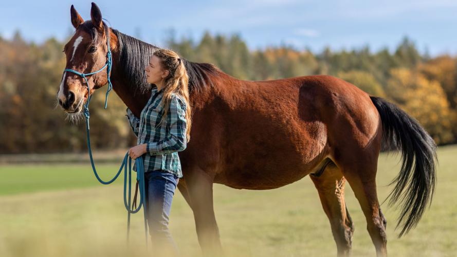 For those wanting to work in the horse industry, Ohio University's AAS in Equine Studies is a fast track way to the equine industry.