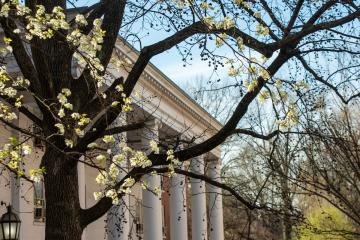 Spring campus beauty photo