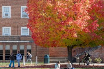 A photo of students on Ohio University's Athens Campus during fall