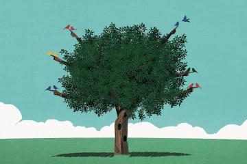 A tree with branches that point different directions, two birds sit on each branch.