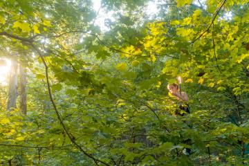 Kelsey Bryant in tree conducting research