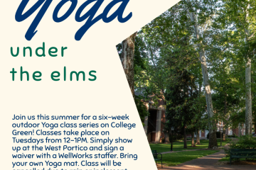 Yoga Under the Elms