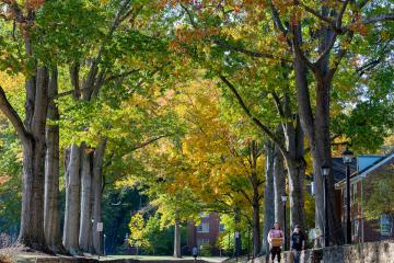 OHIO students walk underneath colorful trees in Fall on OHIO's 雅典 Campus