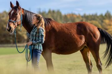 For those wanting to work in the horse industry, Ohio University's AAS in Equine Studies is a fast track way to the equine industry.