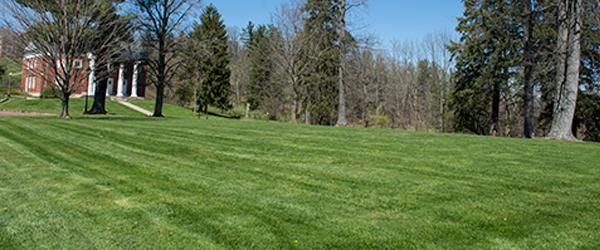 ridges lawn