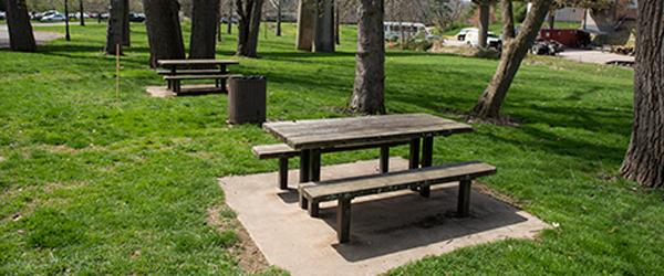 stocker picnic grove