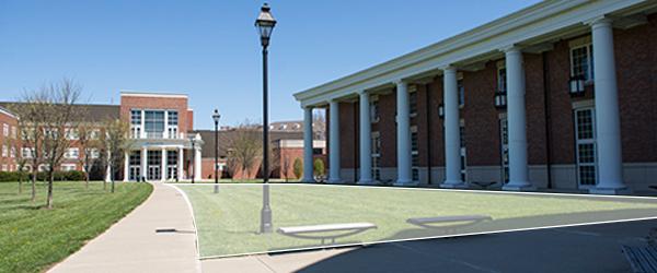 walter hall lawn