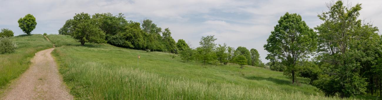 Looking up a path on a hill at the Ridges with fields on either side